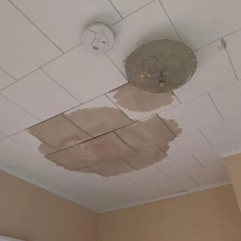 Ceiling Water Damage Repair in Glenville, OH
