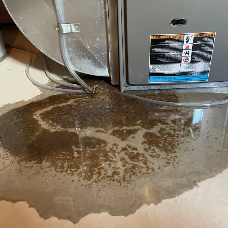 Pipe Burst and Leak Restoration in Glenville, OH