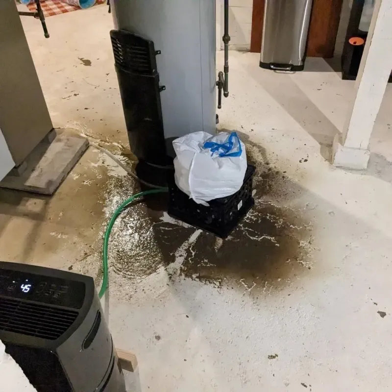 Sewage Backup Cleanup Service in Glenville, OH